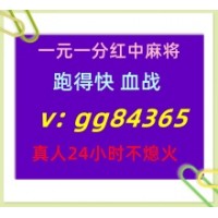 稳定长久一元一分跑的快血战效率麻将长期发展