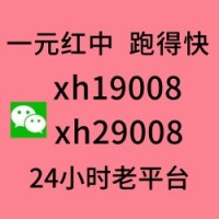 （24小时）谁有广东一元一分红中麻将群