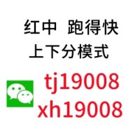 【科普盘点】跑得快微信群24小时