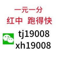 （专业）24小时一元一分红中麻将群