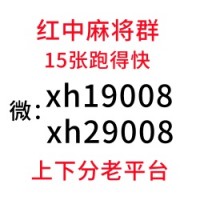 【全新上线】广东一元一分麻将群