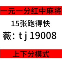 广东正规红中麻将一元一分【2025最新】