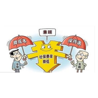 合肥市企业社保代缴，合肥社保公积金外包，代理合肥员工社保缴费