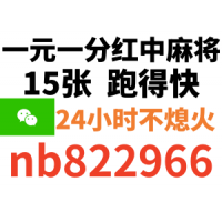 红中麻将一元一分的手机游戏在哪可以玩nb822966