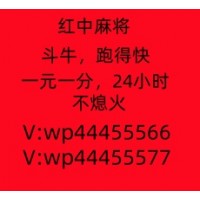 上下分广东一元一分红中麻将汇聚全网