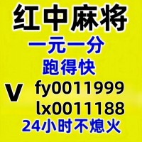 上下分广东一元一分红中麻将汇聚全网