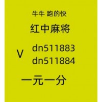 【白鱼入舟】24小时一元一分红中麻将群