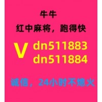 【叶落无声】跑得快微信群24小时