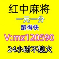 (分享经典)红中麻将一元一分@2025已升级